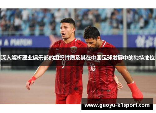 深入解析建业俱乐部的组织性质及其在中国足球发展中的独特地位