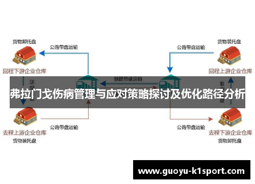 弗拉门戈伤病管理与应对策略探讨及优化路径分析
