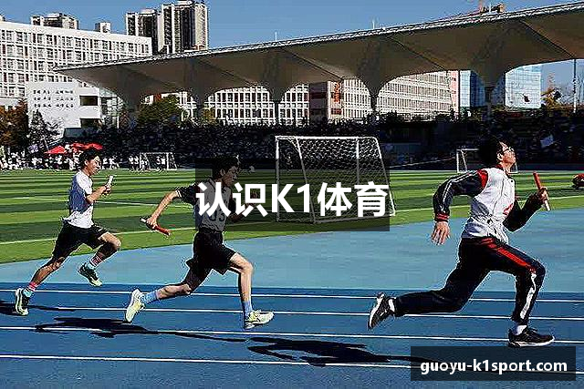 认识K1体育